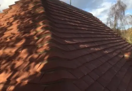 NJS Roofing Services
